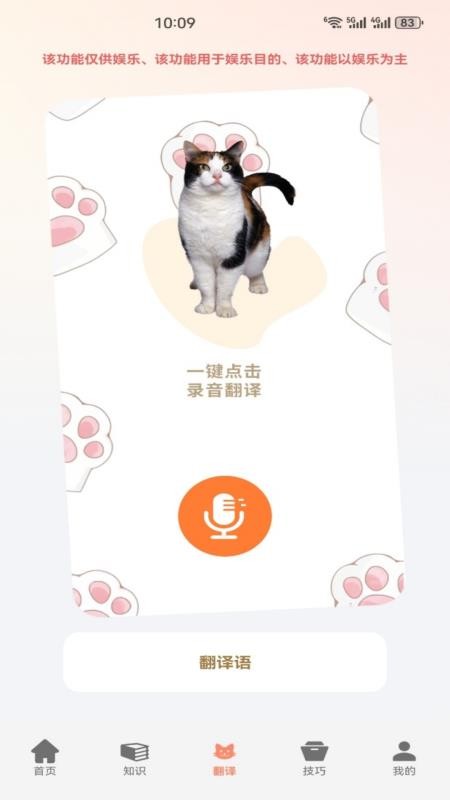 小猫的生活记手机版v1.3 2