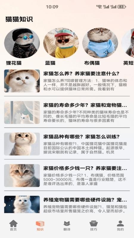 小猫的生活记手机版v1.3 3