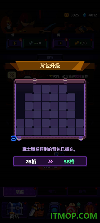 靠装勇者游戏