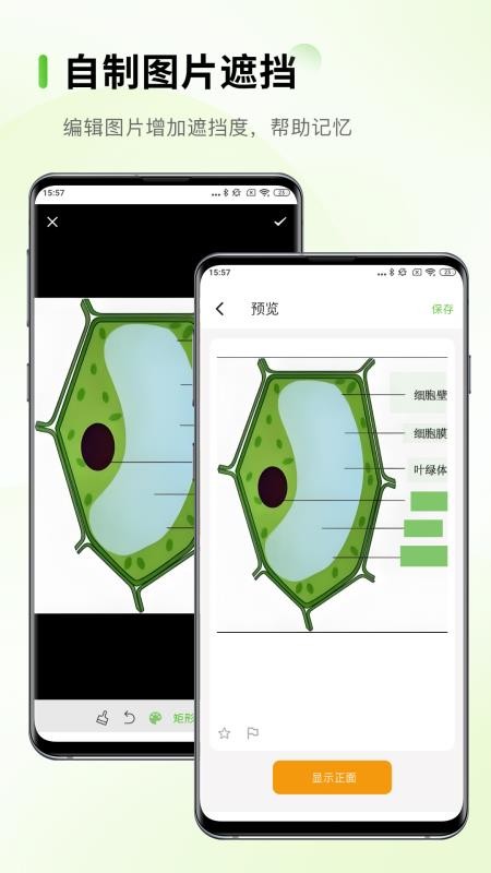 Anymo最新版v5.0.7(2)