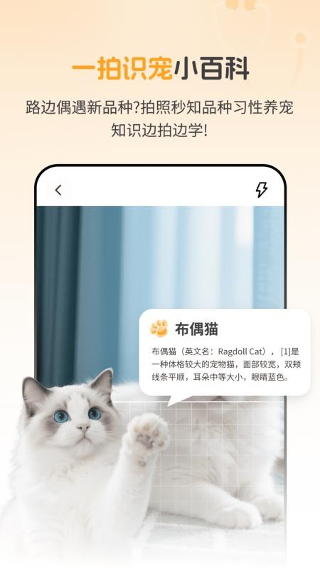 AI宠物问诊官网版v2.1.3 1