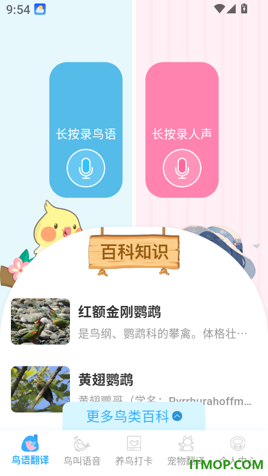 鸟语翻译王app