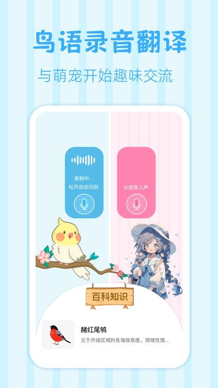 鸟语翻译王appv3.2.0 4