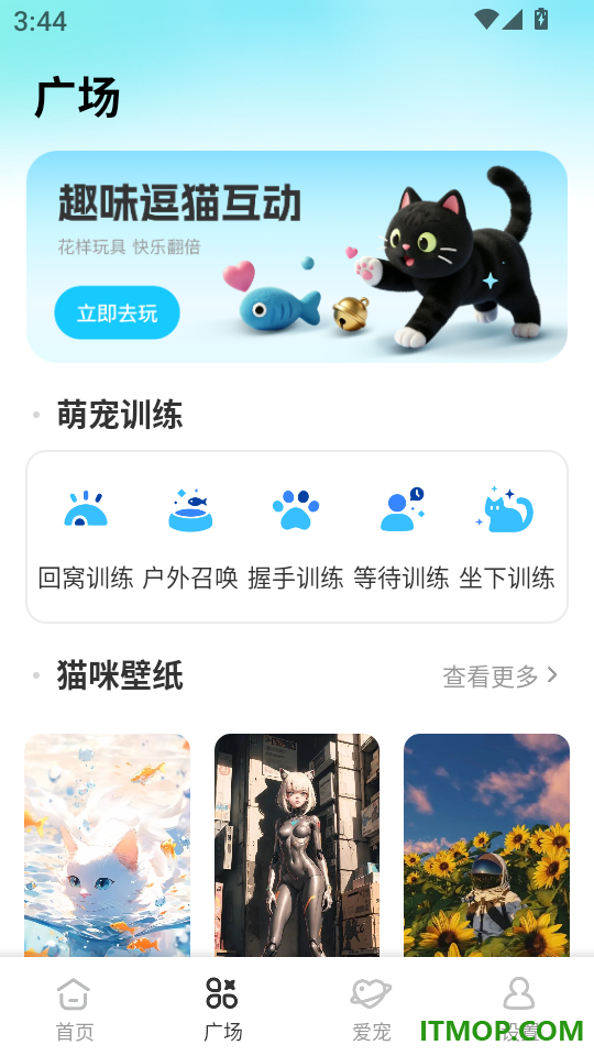 可丽丝猫咪免费版