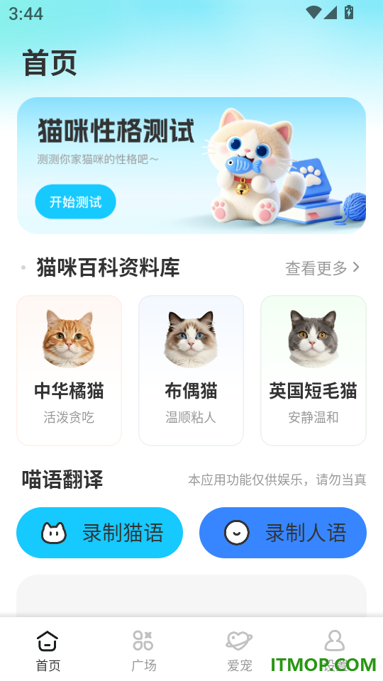 可丽丝猫咪免费版