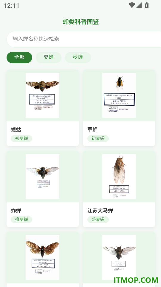 夏日蝉鸣记录器手机版