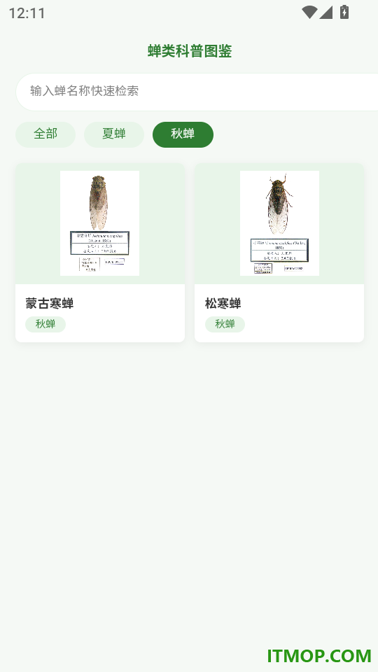 夏日蝉鸣记录器手机版