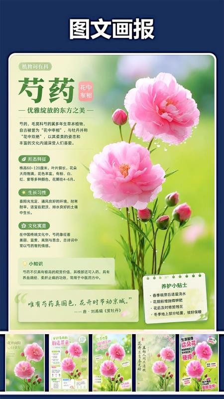 修复P图王手机版v1.0.1(1)