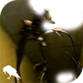 暗房游戏