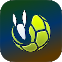 记足球最新版 v4.1.0