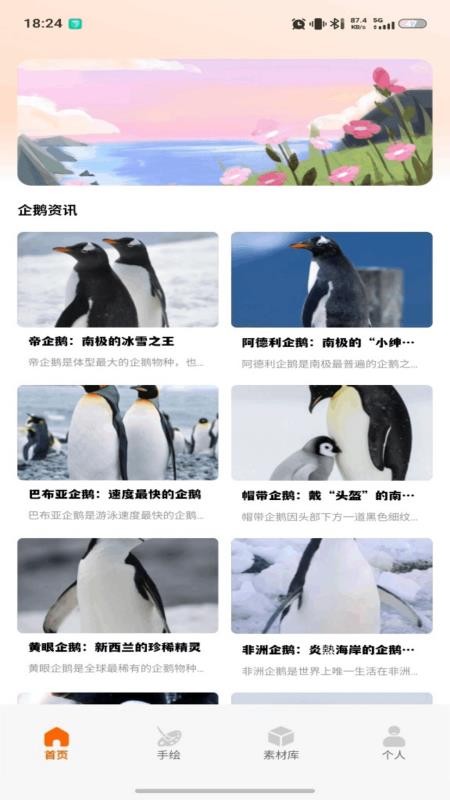 企鹅多绘画手机版v1.1 1