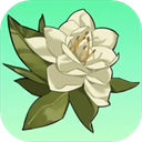 小城茉莉游戏