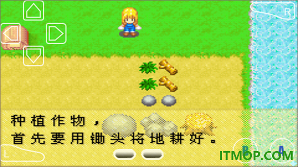 牧场物语女孩版游戏