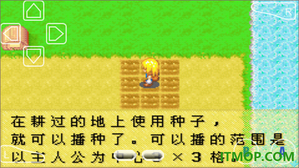 牧场物语女孩版游戏