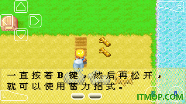 牧场物语女孩版游戏