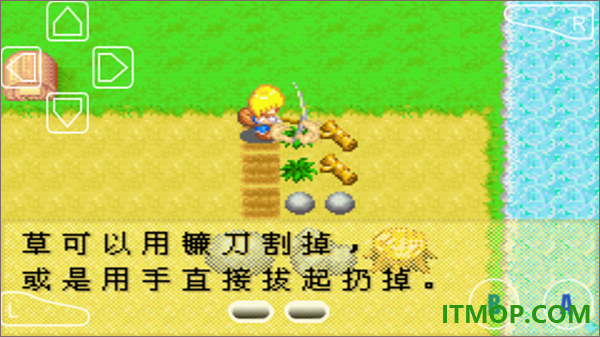 牧场物语女孩版游戏