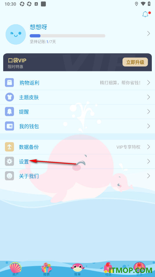 口袋记账手机版设置查看账单总结的方法