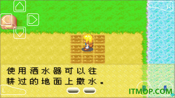 牧场物语女孩版游戏
