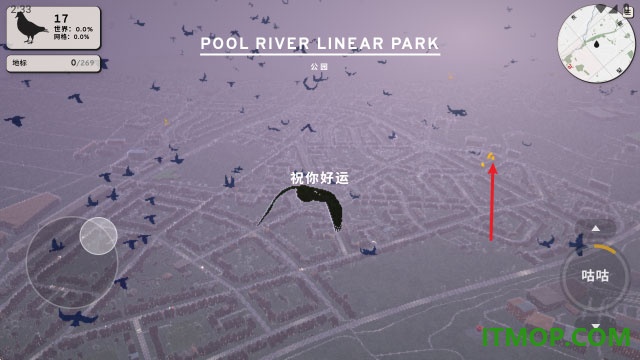 鸽子:一段爱情故事手机版