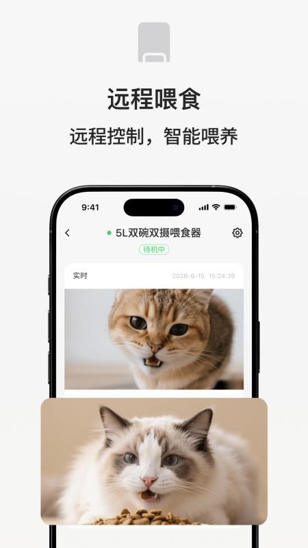 宠小吉手机版v1.0.34(2)