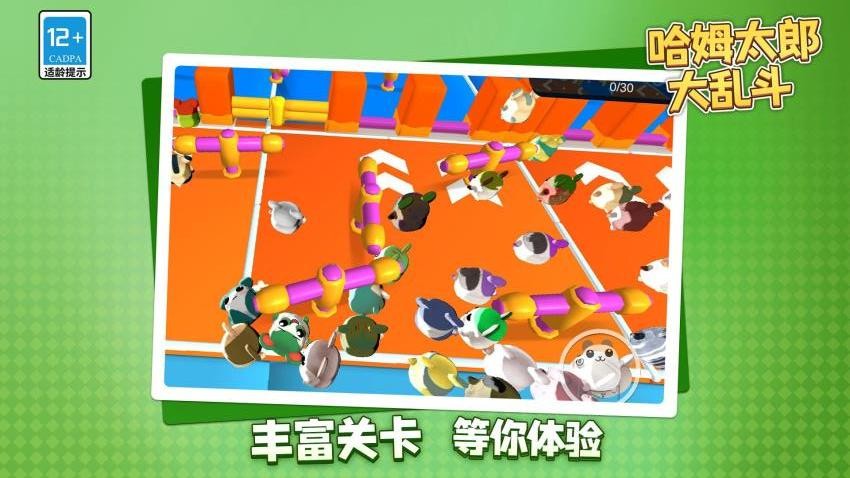 哈姆太郎大乱斗游戏v1.2.3(5)