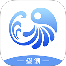 望潮手机版