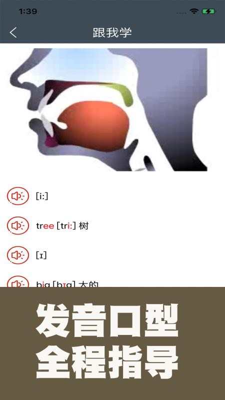 小学英语自然拼读课堂app(2)