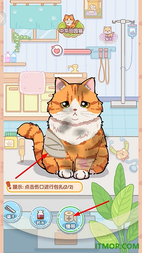 糖果猫游戏