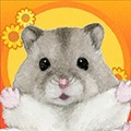 仓鼠之谷游戏 v1.0.10