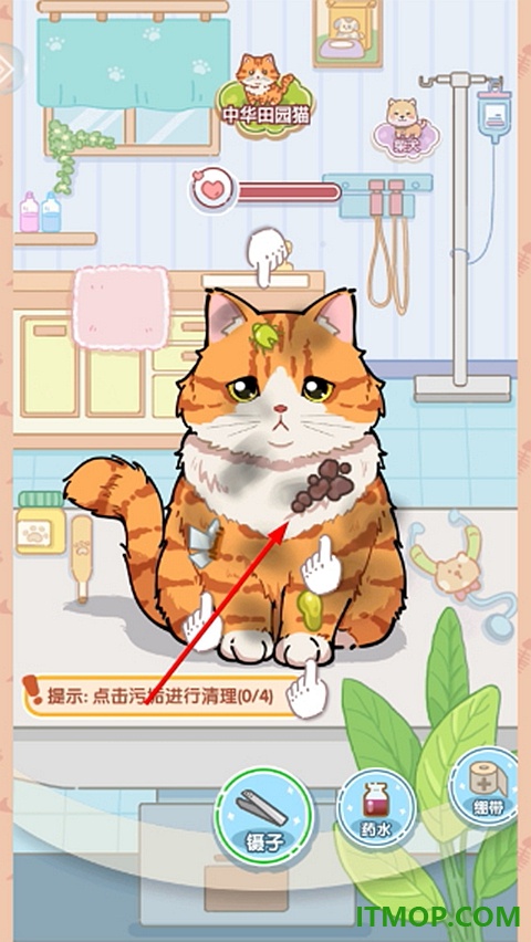 糖果猫游戏