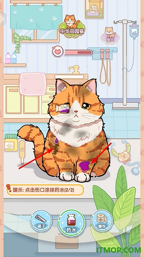 糖果猫游戏