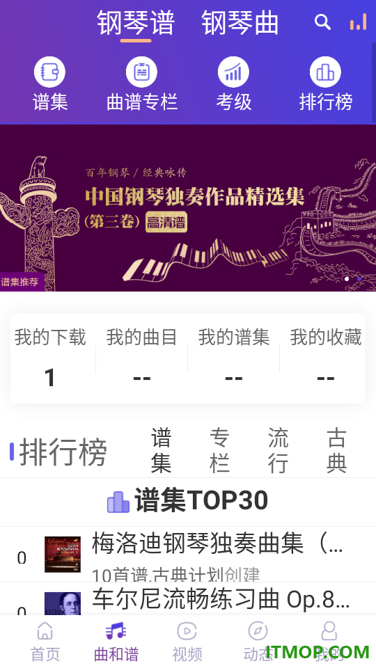 环球钢琴网最新版