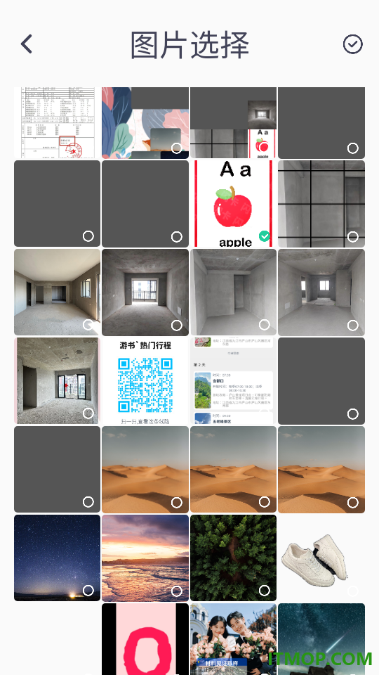 中英翻译器全能官方版