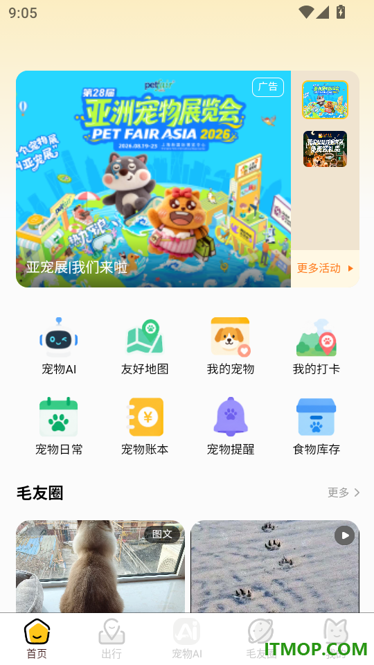 毛毛GO手机版