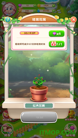 动物花店游戏