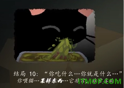 别带这只猫回家