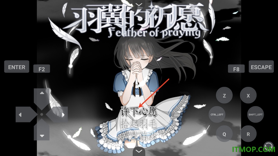羽翼的祈愿手机版