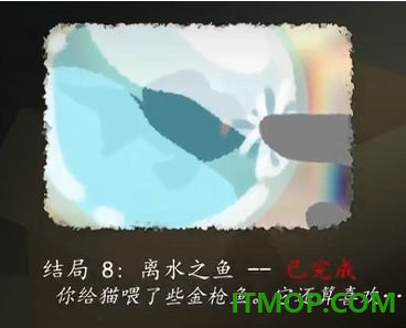 别带这只猫回家