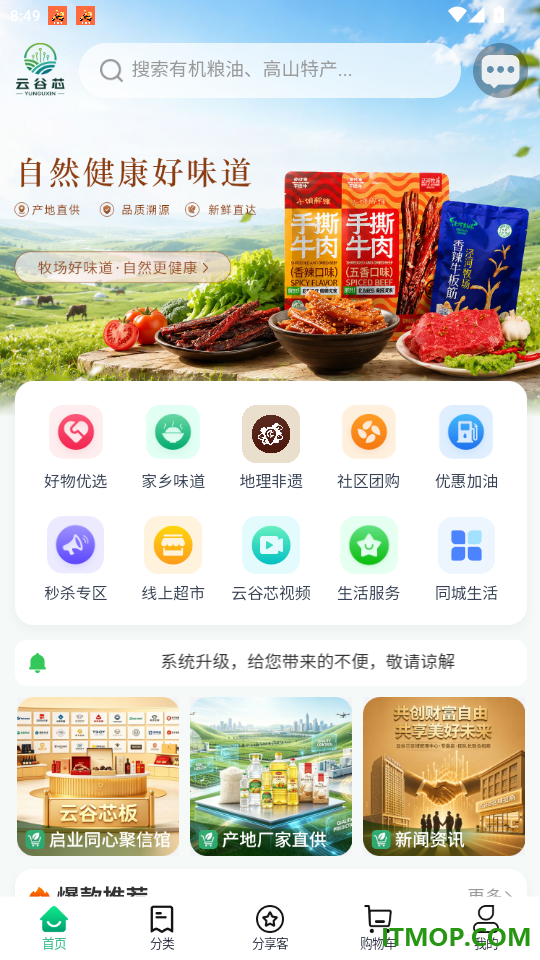 云谷芯最新版本
