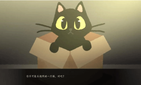 别带这只猫回家v1.0(1)