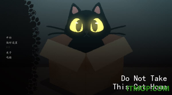 别带这只猫回家