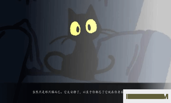 别带这只猫回家