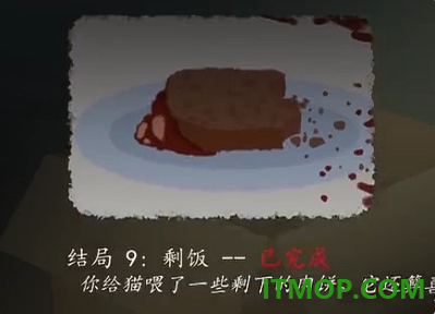 别带这只猫回家