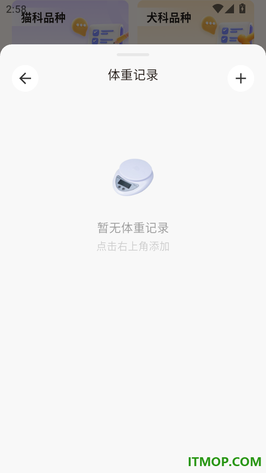 宠物纪念二维码免费版