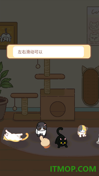 领养一只流浪猫游戏