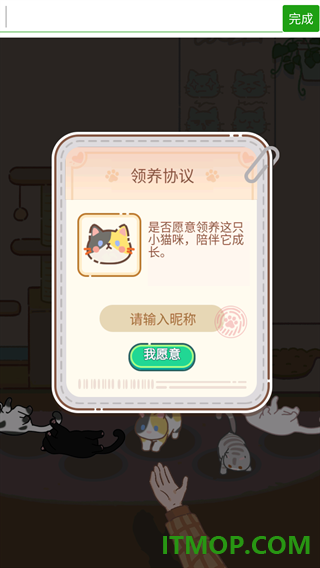领养一只流浪猫游戏