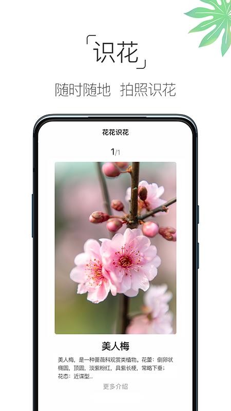 养花大全软件v4.5.3 1