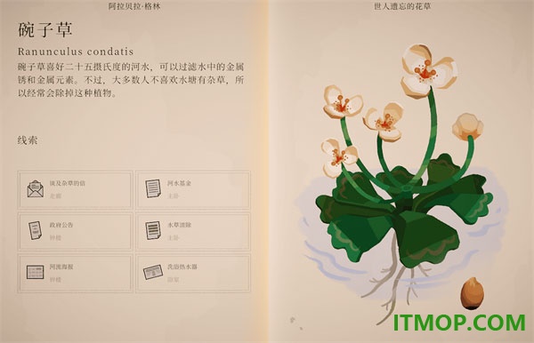 波坦尼庄园游戏