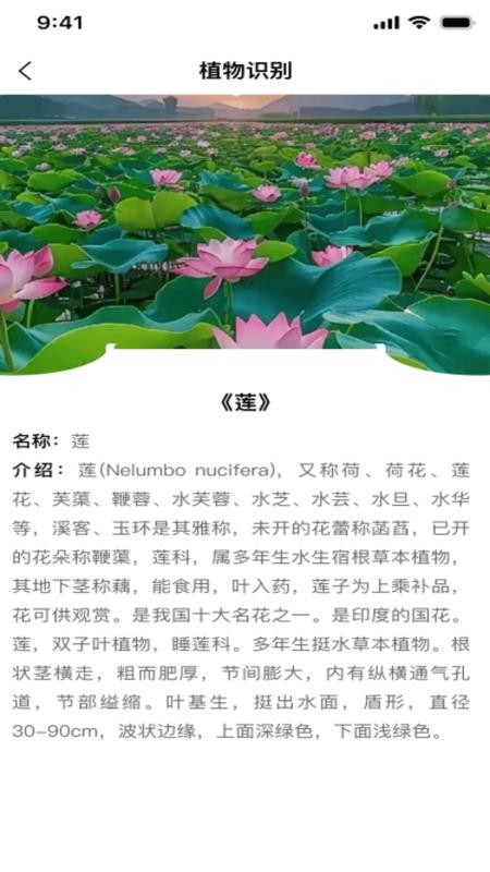123身份证管理手机版v1.0.0(3)
