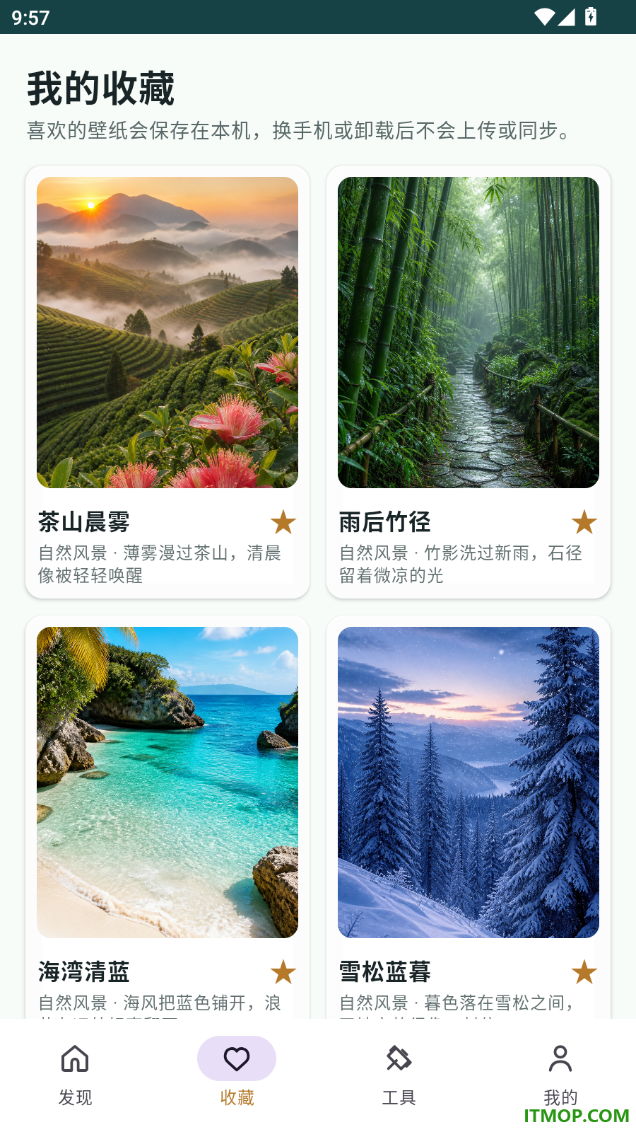 清茶红柚官方版